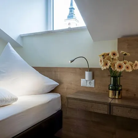 Hotel Drei Tannen Altdorf *